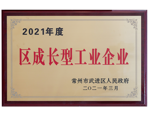 2021年度區(qū)成長(zhǎng)型工業(yè)企業(yè)