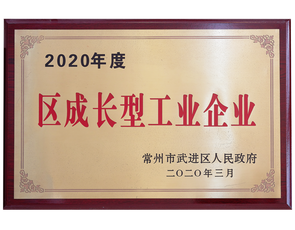 2020年度區(qū)成長(zhǎng)型工業(yè)企業(yè)