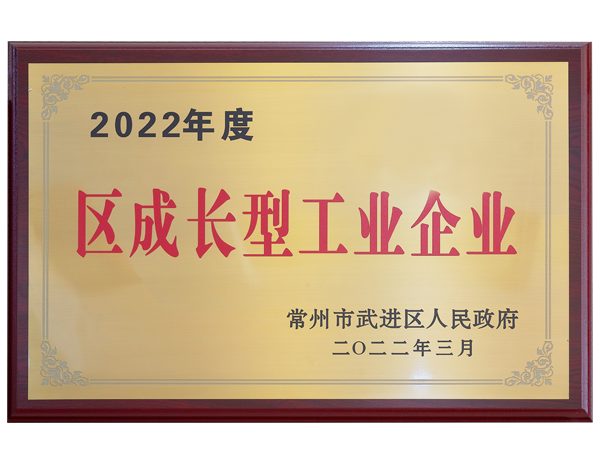 2022年度區(qū)成長(zhǎng)型工業(yè)企業(yè)